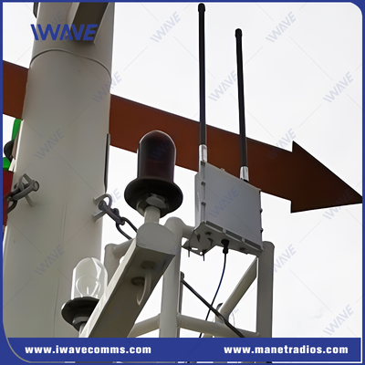 주문 50km Outdoor NLOS HD Video Transmission Solution With IP67 Grade And AES Encryption 온라인 제조